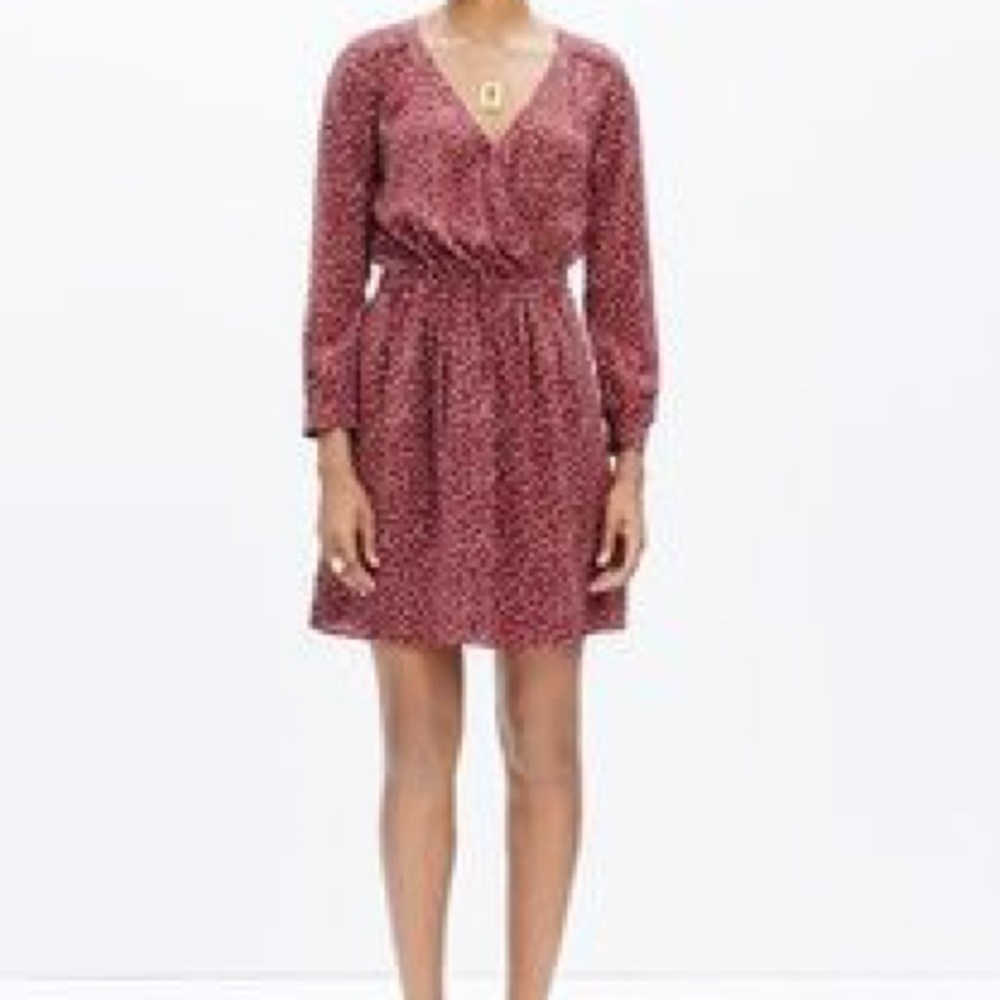 Madewell Long Sleeve Dress
